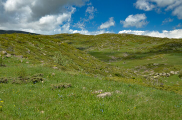 meadows, rocks and alpine vegetation on the slopes of Mount Aragats (Aragatsotn province, Armenia)