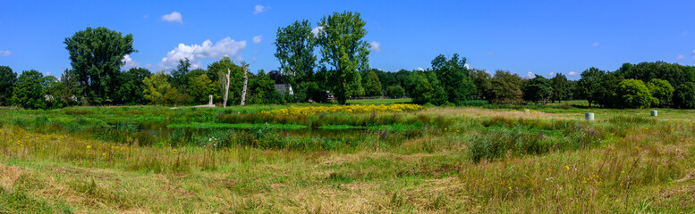 Large panoramic image in the middle of summer of a beautiful piece of nature in Germany, with many colors. Grass, water, trees, with a blue sky with white clouds.