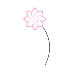 beautiful flower icon