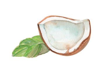 Watercolor hand-drawn illustration with coconut slica and tropical leaf