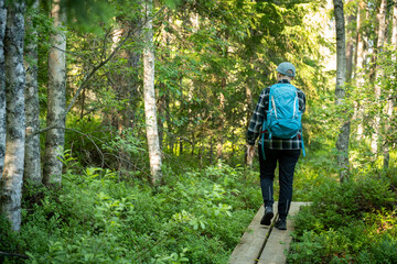 Obraz premium woman hiker walking in forest