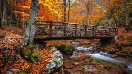 Fototapeta premium Serene autumn forest with wooden bridge over scenic stream and colorful foliage, perfect for nature and outdoor enthusiasts.