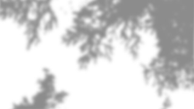 Realistic transparent shadow of tree branch with overlay effect