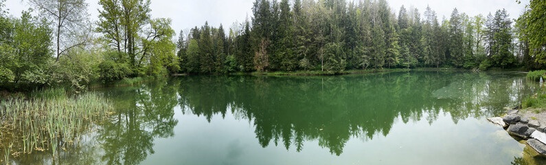 Panorama - Lake in the Forest. Landscape in Switzerland.