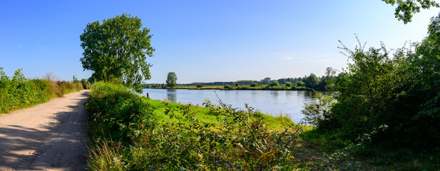 Panorama photo of the river: The Maas. In North Brabant, the Netherlands. With a wide walking path and surrounded by green forests, with a blue clear sky.