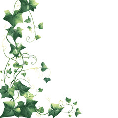 Obraz premium Lush Green Ivy Vines with Leaves and Tendrils on Transparent Background for Nature and Botanical Designs