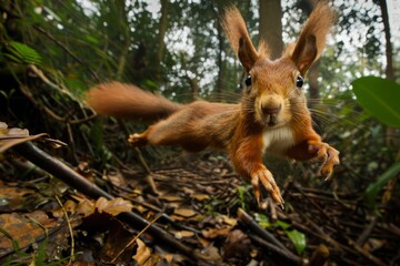 Dynamic close-up of a leaping squirrel in a dense forest. Vivid nature shot capturing a lively jump. Perfect for wildlife enthusiasts, educational media, and nature-themed projects. Generative AI.