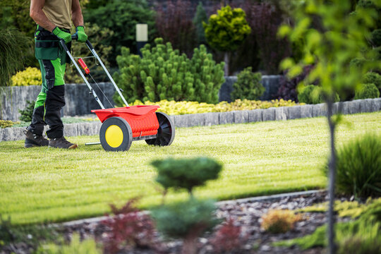 Lawn Care Professional Using Seeder in Lush Garden During Daytime