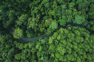 High angle view of winding road in green forest, green transportation and nature conservation.