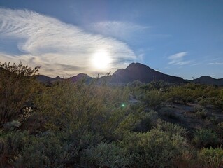 Sunset in green desert