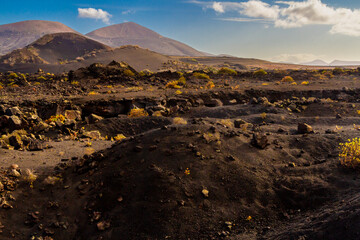 Haking trail around Montana Colorada. 