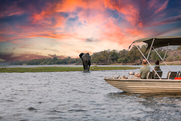 Chobe National Park, Botswana : Tourists in a boat observe elephants along the riverside of Chobe River in Chobe National Park, Botswana. © xamnex