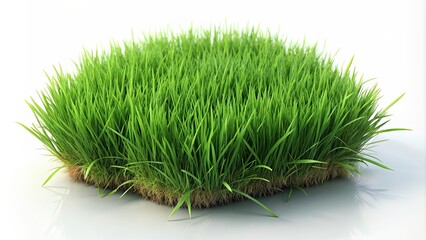 Realistic green grass isolated on background. rendering, grass, green, realistic, isolated,background,rendering, nature
