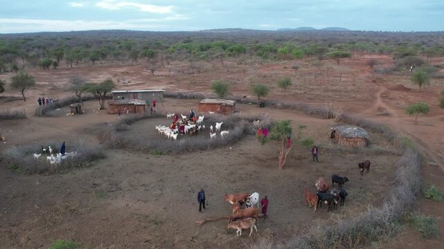 Maasai home stead