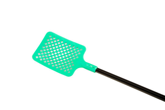 Mosquito Swat 1 927 Adobe Stock