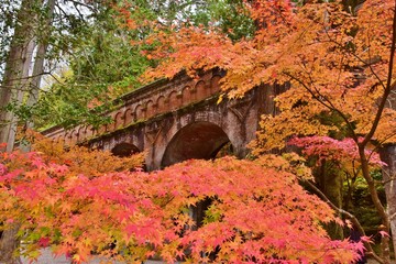 秋の京都　紅葉の南禅寺