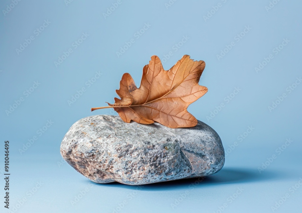 Poster minimalistic composition with a dry oak leaf resting on a smooth stone against a soft blue backgroun