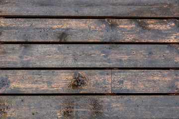 An wooden deck wet from rain, old terrace with some mold spots caused by humidity and weather need...