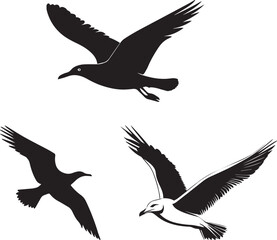 Silhouette of seagulls in flight vector , silhouettes of  flying birds icon