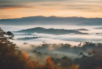 Fototapeta premium colorful forest valley beautiful pine spruce foggy Fog Mountains trees mountain autumn sky Thailand clouds low sunrise bright Phetchabun Background Summer Travel Nature Tree Landscape Clou