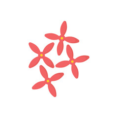 Ixora vector icon