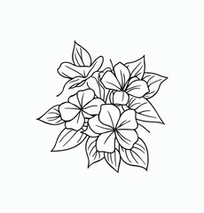 Fototapeta premium Simple hand drawn flowers outline drawing illustration