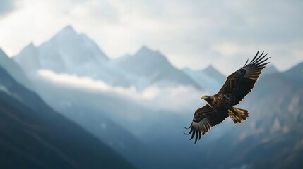 Golden eagle soaring over mountains with the word 'Eagle' formed by clouds