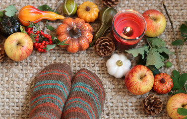 Warm Autumn still life. Colorful composition with decorative pumpkins, rowan berries, candle, leaves and flowers. Table decorations close up photo. Halloween celebration concept. 