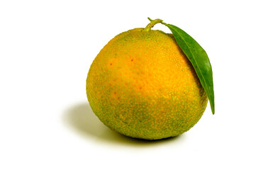 Whole green tangerine fruit isolated on white background.
