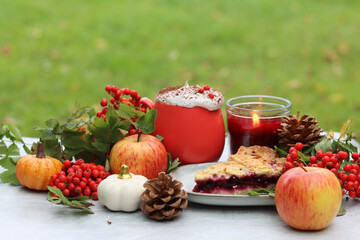 Homemade pie with berries and apples on a background of green grass. Thanksgiving dessert recipe. Autumn picnic in a garden. 