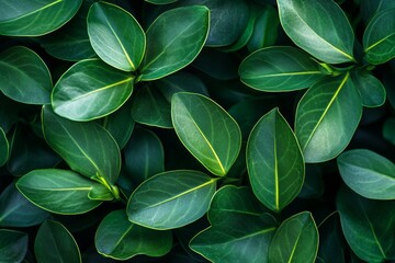 An illustration of green biotechnology or synthetic biology, incorporating a plant and DNA shapes