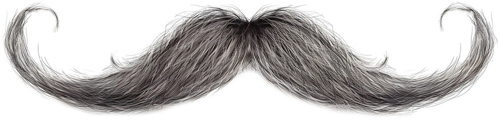 Obraz premium Gray hair mustache isolated on a transparent background