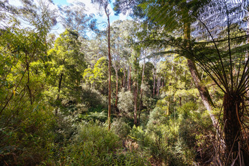 Lerderderg Heritage River Walk in Melbourne Australia