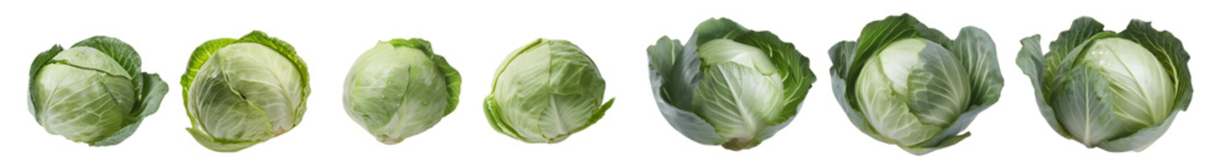 Fototapeta premium Fresh green cabbage heads in a row showcasing different growth stages. Perfect for agricultural, organic produce, and healthy lifestyle concepts.