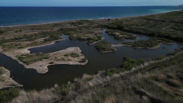 aerial view of Marjal dels Moros in Sagunt,Pucol, Valencia, Spain. Bird watching