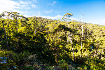 Lerderderg Heritage River Walk in Melbourne Australia
