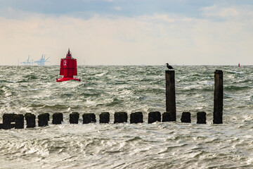 North Sea near Westkapelle Province of Zeeland Netherlands