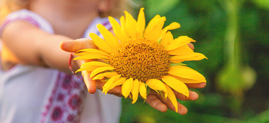 Child in a sunflower field wearing an embroidered shirt. Selective focus.