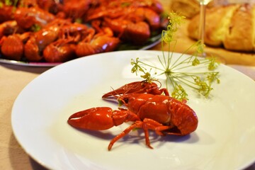 Beer-boiled crayfish festival in Sweden.