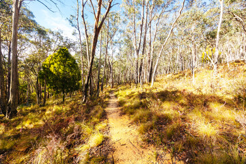 Lerderderg Heritage River Walk in Melbourne Australia