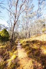 Lerderderg Heritage River Walk in Melbourne Australia