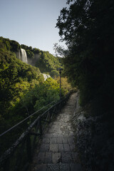 Serene Waterfall Pathway