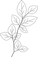 Leaf Branch Outline Element