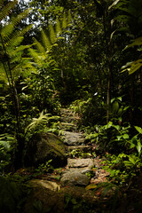 Weg durch einen Garten