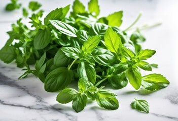 vibrant arrangement fresh green herbs displayed smooth marble surface culinary inspiration natural aesthetics, parsley, basil, cilantro, mint, rosemary