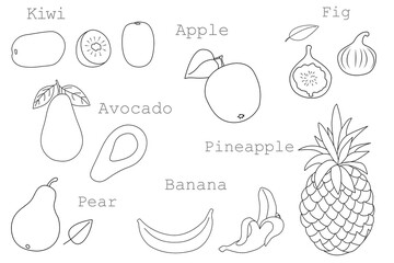 Fruits set, hand-drawn. Contour drawing isolated on a white background. Whole and chopped fruits. Apple, pear, avocado, kiwi, fig, banana, pineapple. Illustration, icon, template for coloring.