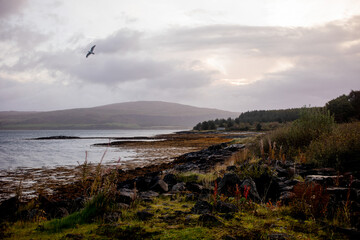 Landscape of Scotland Ocean
