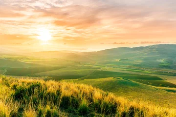 beautiful landscape in a yellow golden field in autumn or summer evening with nice rustic view of hills in countryside