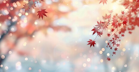 Fototapeta premium Autumn Maple Leaves Against a Soft, Blurred Background With Bokeh Effect