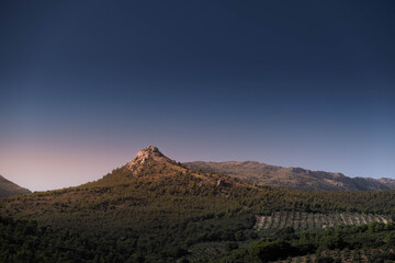 Impressive rocky hill rising above a pine forest and olive plantation in the province of Jaen. It's dawn and the day is clear. A landscape desktop wallpaper from Spain